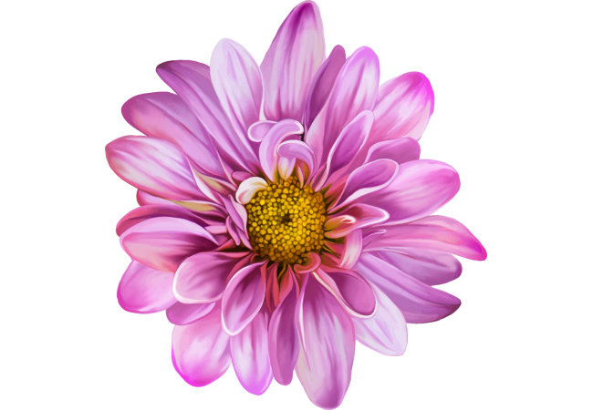 Autocollants Fleur Rose 2