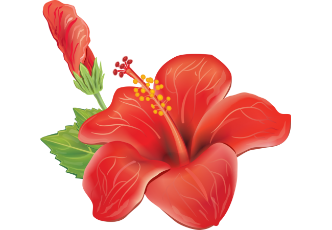 Autocollants Fleur Tropical 1