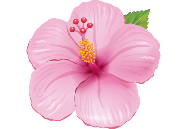Autocollants Fleur Tropical 3