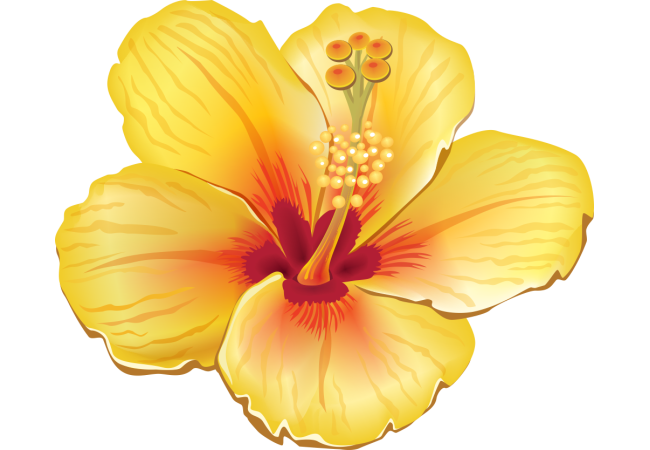 Autocollants Fleur Tropical 4