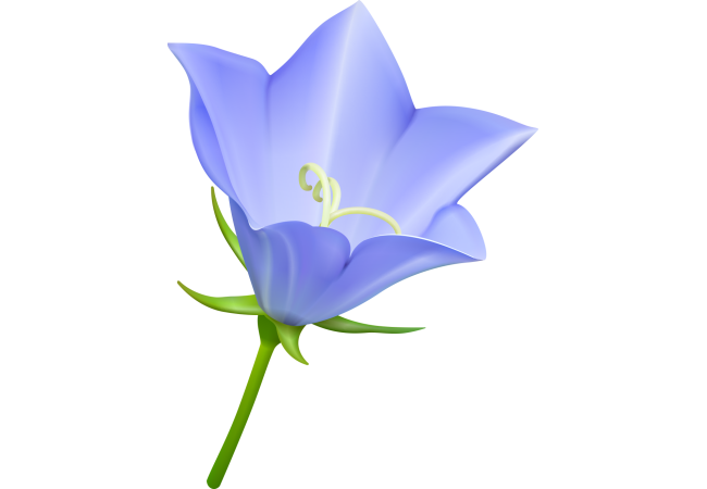 Autocollants Fleur Bleue