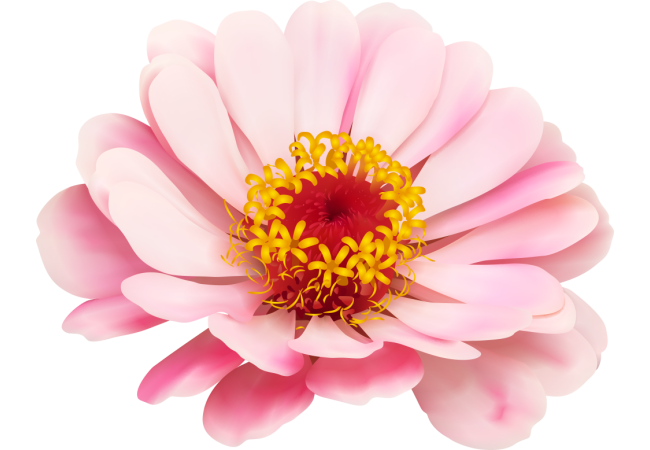 Autocollants Fleur Rose Pâle