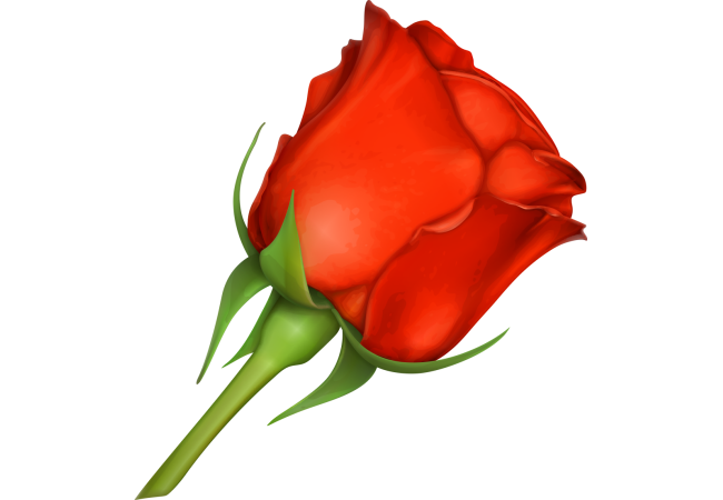 Autocollants Fleur Rose Rouge