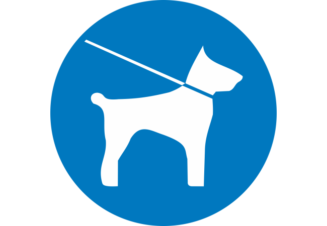 Autocollant Obligation Chien En Laisse