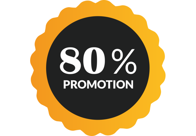 Autocollant Soldes 80% De Promotion