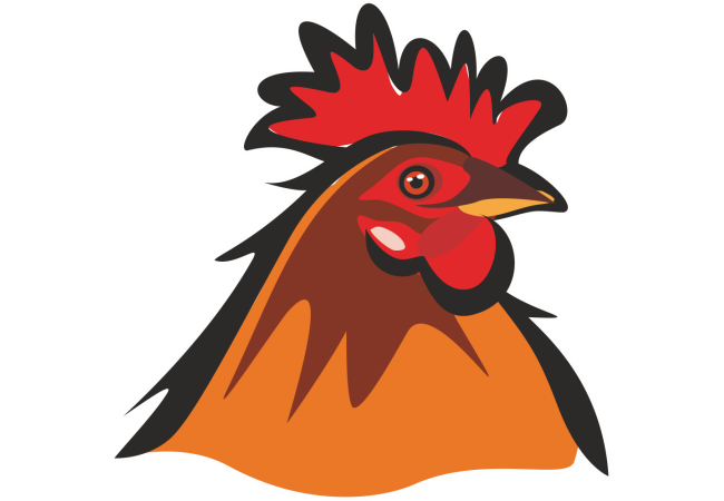 Autocollant Logo Animaux Ferme Poule