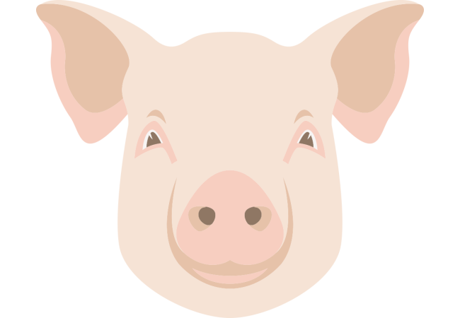 Autocollant Logo Animaux Ferme Cochon 2