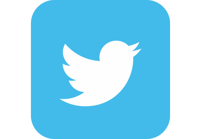 Autocollant Logo Réseau Social Twitter