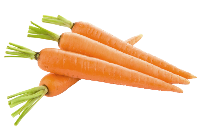 Autocollant Alimentation Légume Carotte 1
