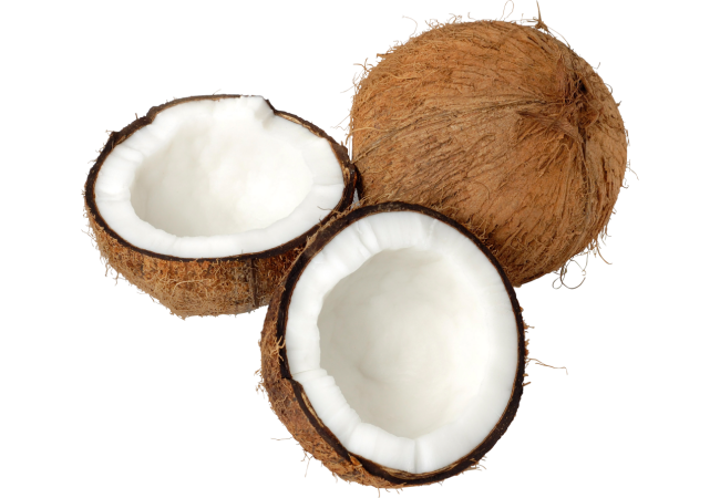 Autocollant Alimentation Fruit Noix De Coco 1
