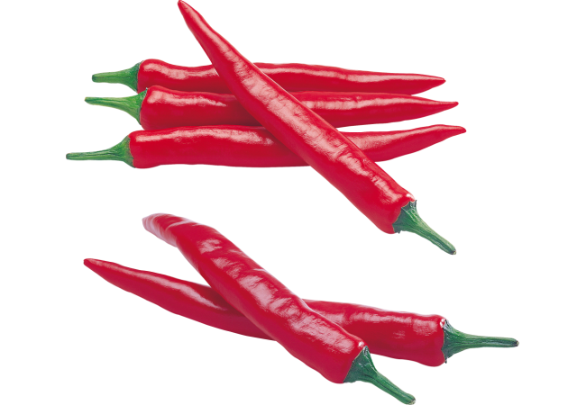 Autocollant Alimentation Légume Piment 1