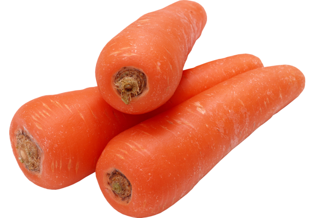 Autocollant Alimentation Légume Carotte 2