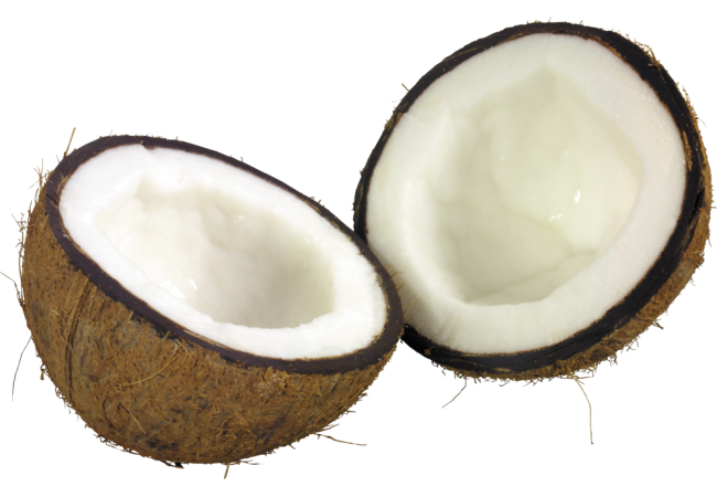 Autocollant Alimentation Fruit Noix De Coco 2