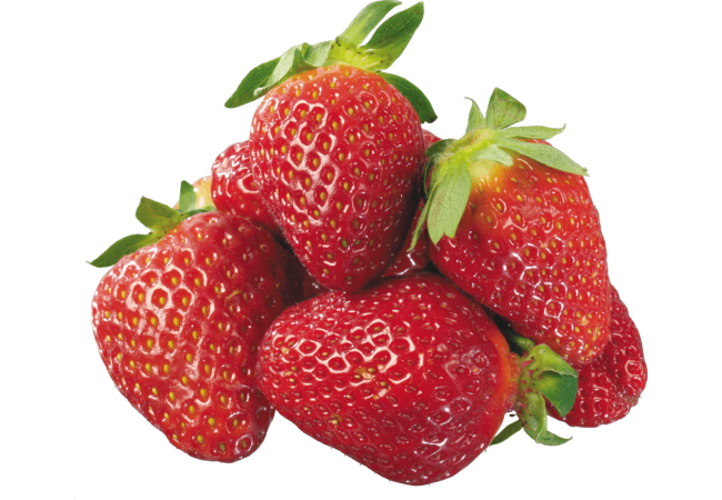 Autocollant Alimentation Fruit Fraises 1