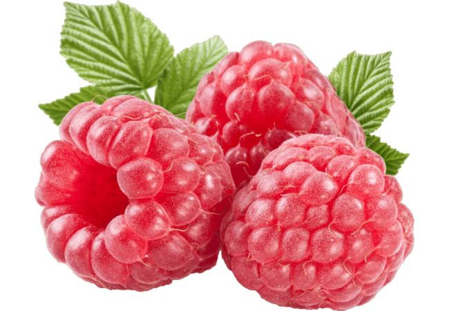 Autocollant Alimentation Fruit Framboises 1