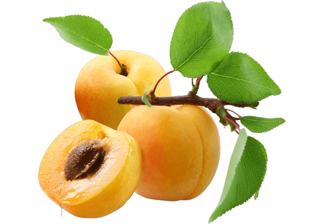 Autocollant Alimentation Fruit Abricot 1