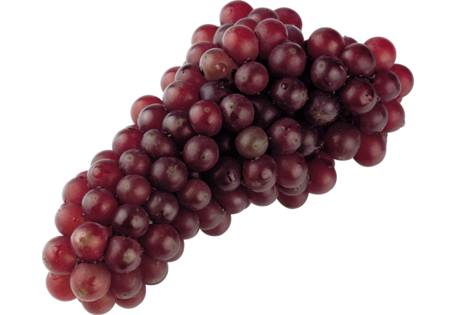 Autocollant Alimentation Fruit Raisins 1