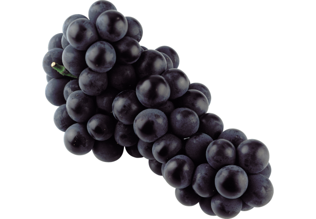 Autocollant Alimentation Fruit Raisins 2