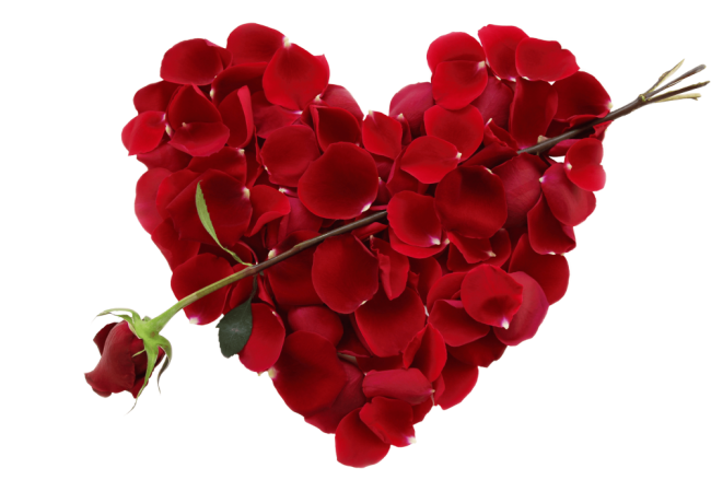 Autocollant Divers Fleur Rose 4