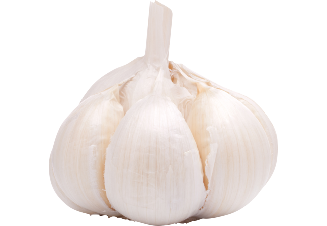 Autocollant Alimentation Oignon Légume