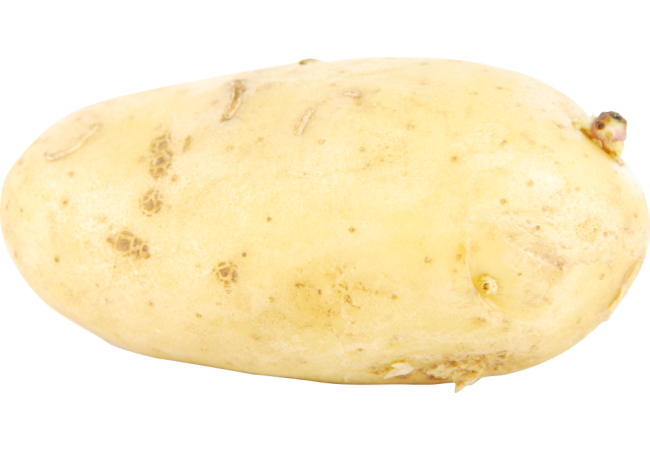 Autocollant Alimentation Patate Légume 1