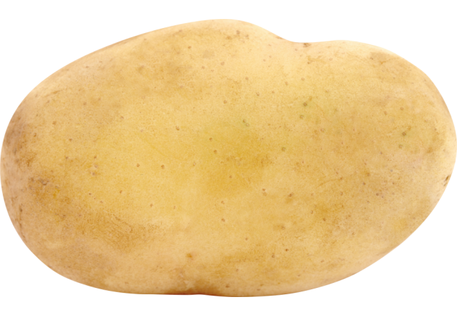 Autocollant Alimentation Patate Légume 4