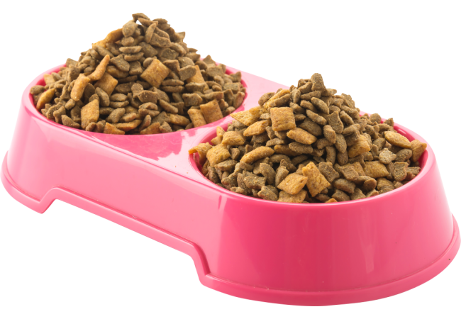 Autocollant Animaux Croquettes