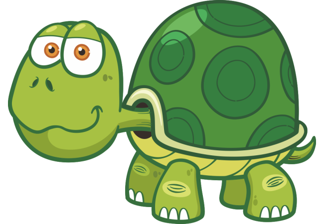 Autocollant Animaux Tortue 2
