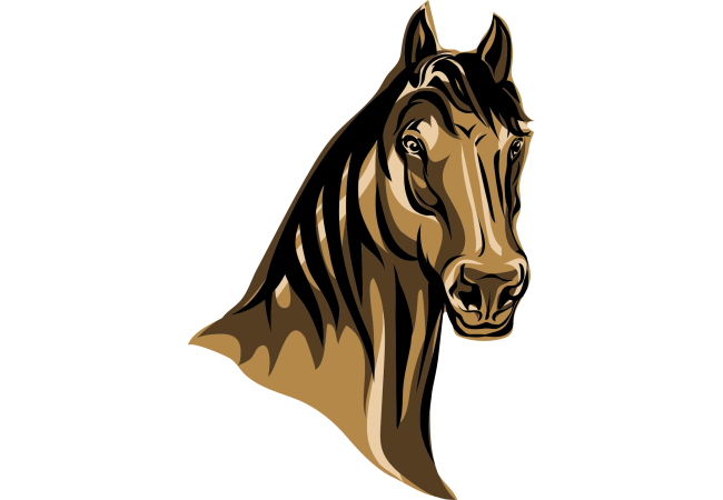 Autocollant Animaux Cheval 4
