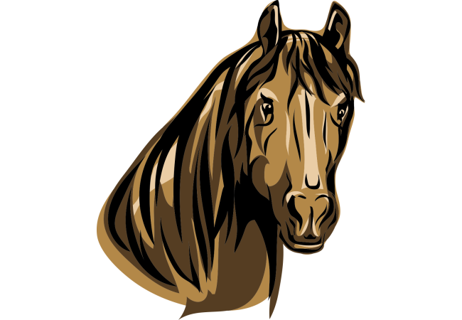 Autocollant Animaux Cheval 5