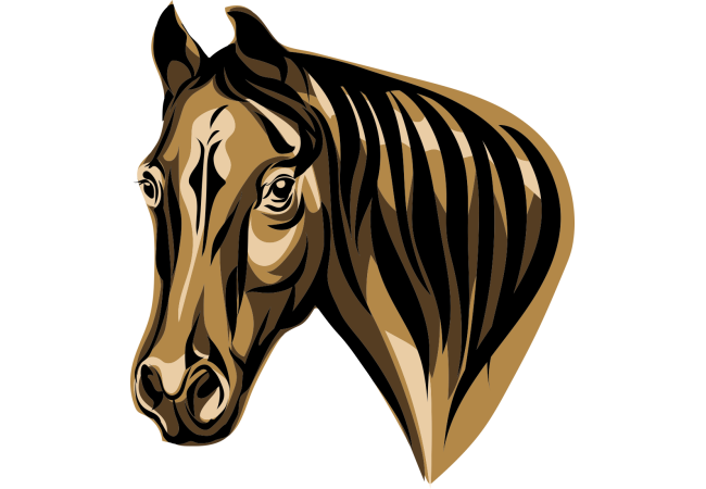 Autocollant Animaux Cheval 7