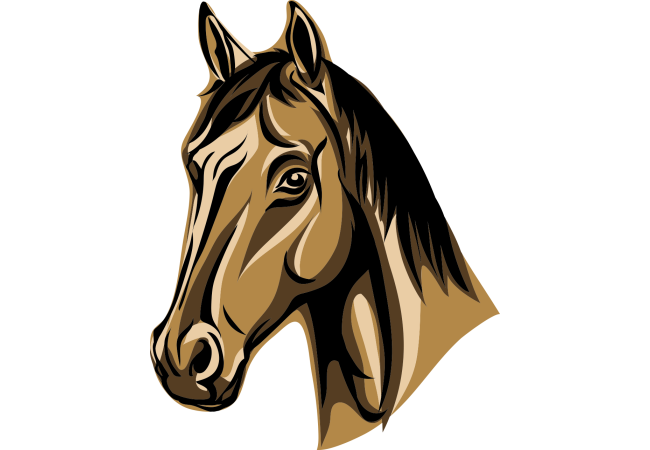Autocollant Animaux Cheval 8