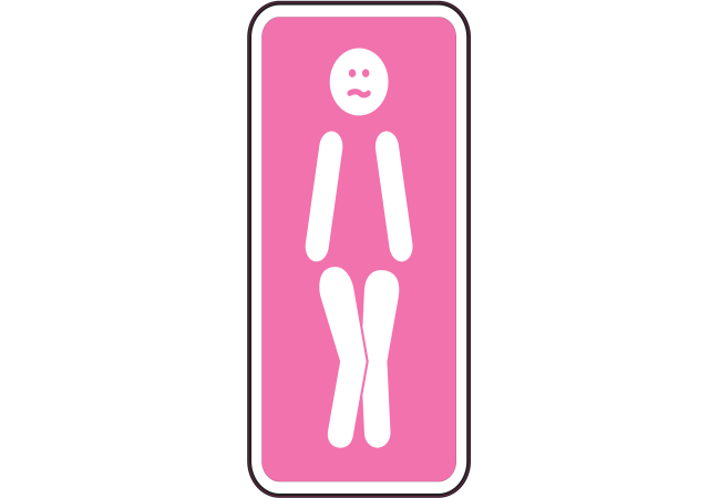 Autocollant Panneau Wc Femme