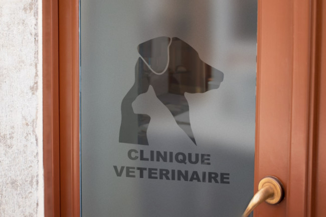 Sticker Logo Clinique Vétérinaire Dépoli